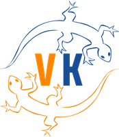 VK Imóveis